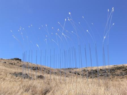 Rodwell Sue &amp; Trevor