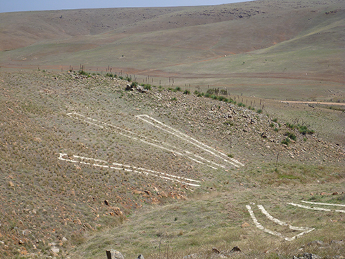 Carlotta Brunetti - Wing Beat