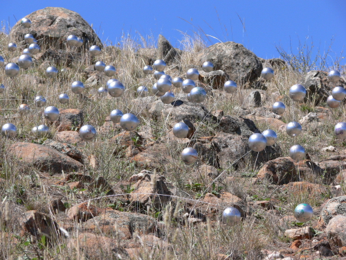 Kerr, David - Swarm 2