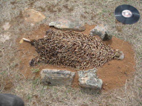 Meandering, Ray - Agents of Extinction