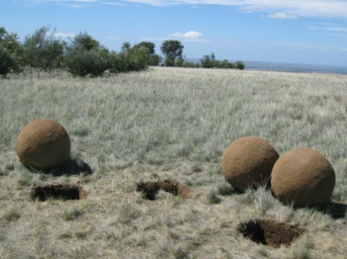 Wass, Mal - Inter-Relation