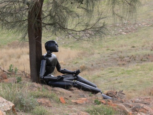 Willis, Jamie - Testing Limits