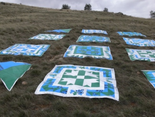 Dr. Flossie Peitsch - Ecocover Quilts